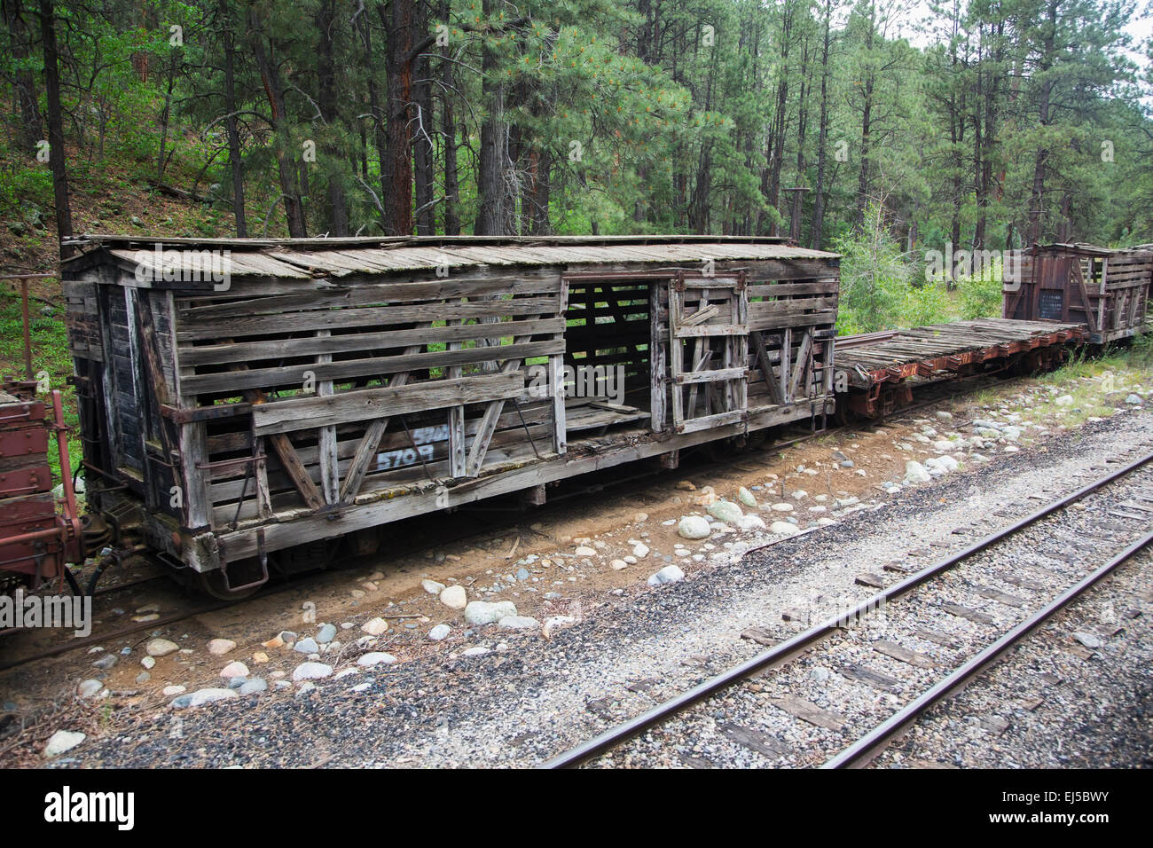 Vieille boîte voiture Durango and Silverton Narrow Gauge Railroad Train à vapeur près de Durango, Colorado, USA Banque D'Images