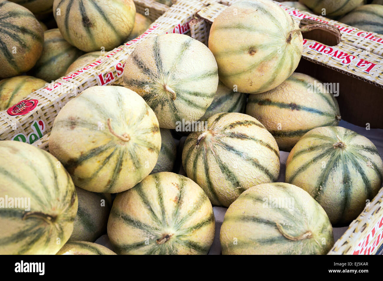 Les melons en vente à un marché en plein air traditionnel, Avignon, France, Europe Banque D'Images