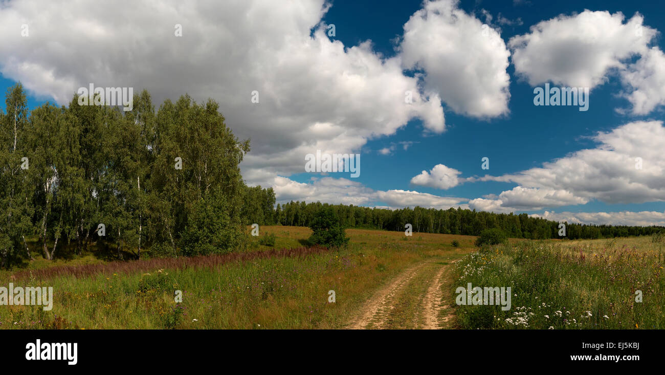 Paysage d'été avec de beaux nuages. Panorama cousus Banque D'Images