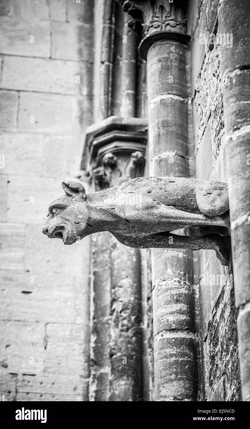 Vue de côté de l'un des féroces grotesques sculptées en pierre sur l'extérieur de l'historique de la cathédrale de Bayeux en Normandie, France. Banque D'Images