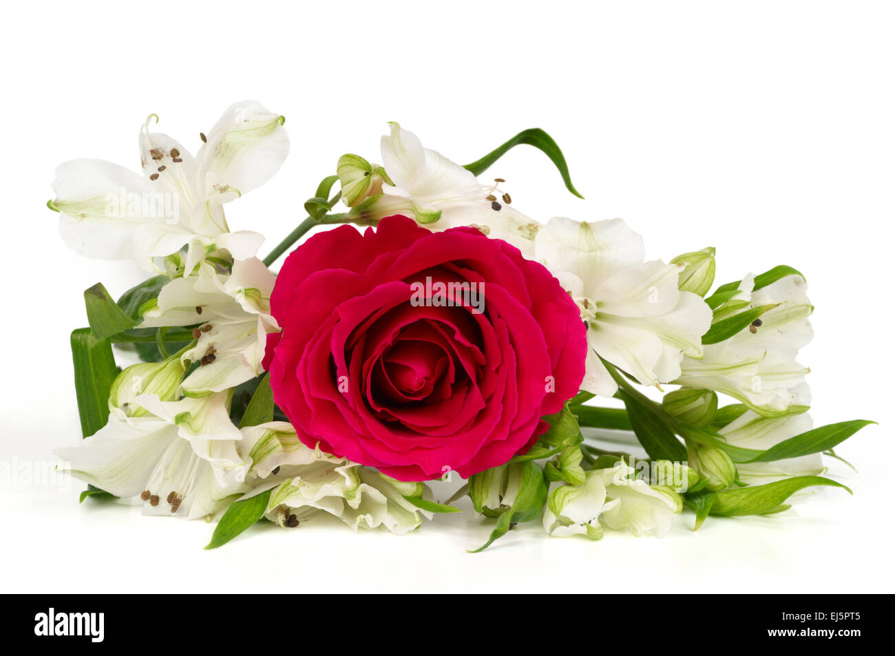 Bouquet de fleurs magnifiques isolated on white Banque D'Images