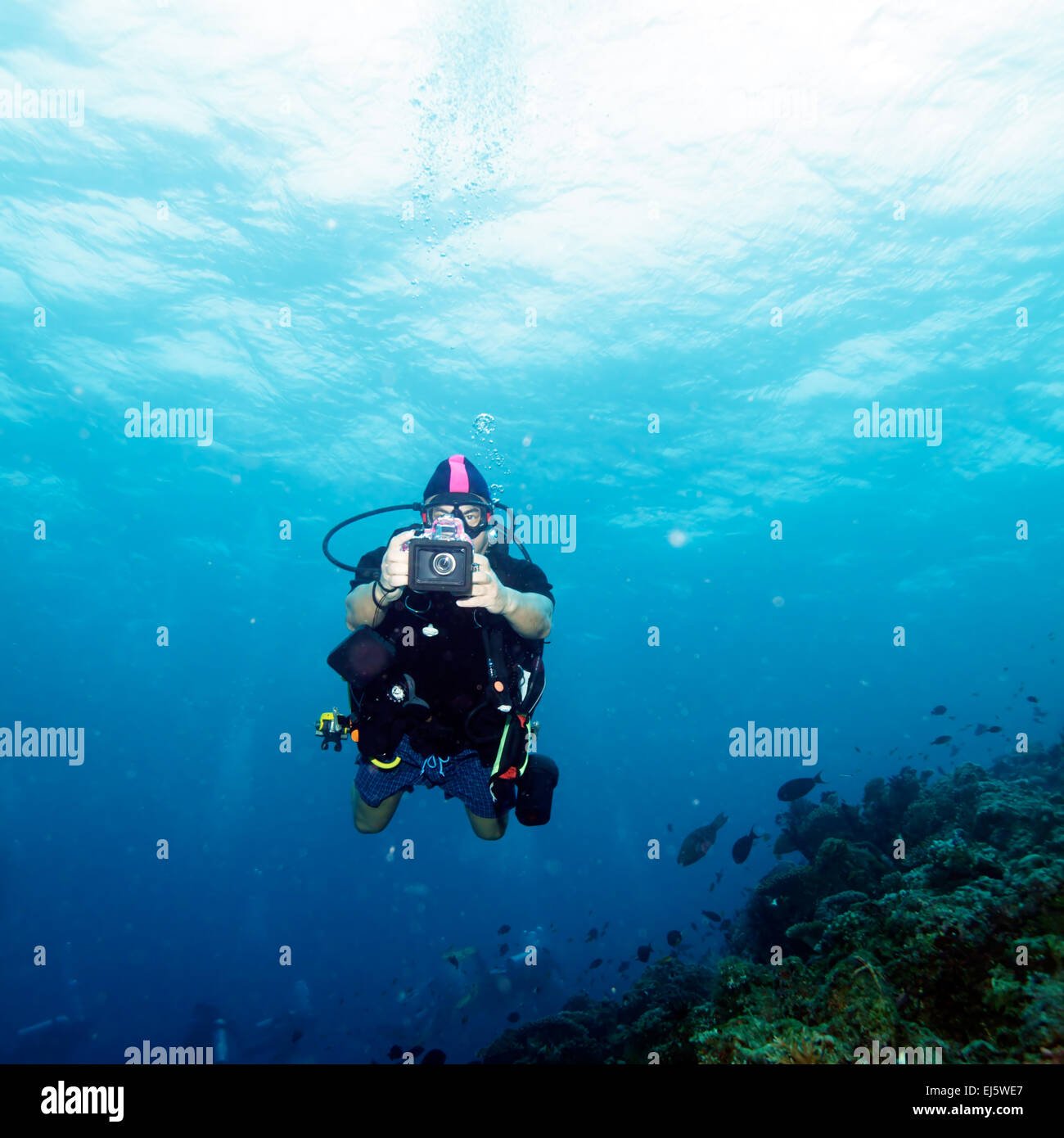 Les coraux et Asian Man - Scuba Diver, Maldives Banque D'Images