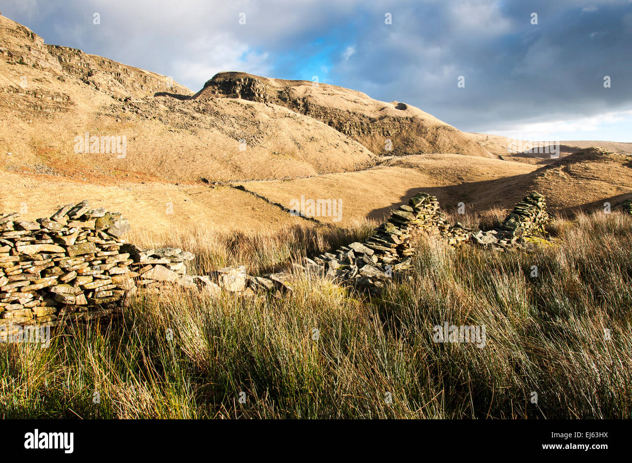 Mur de pierre et de roseaux au-dessous de châteaux d'Alport dans le Peak District, Derbyshire, l'hiver du soleil sur le paysage. Banque D'Images