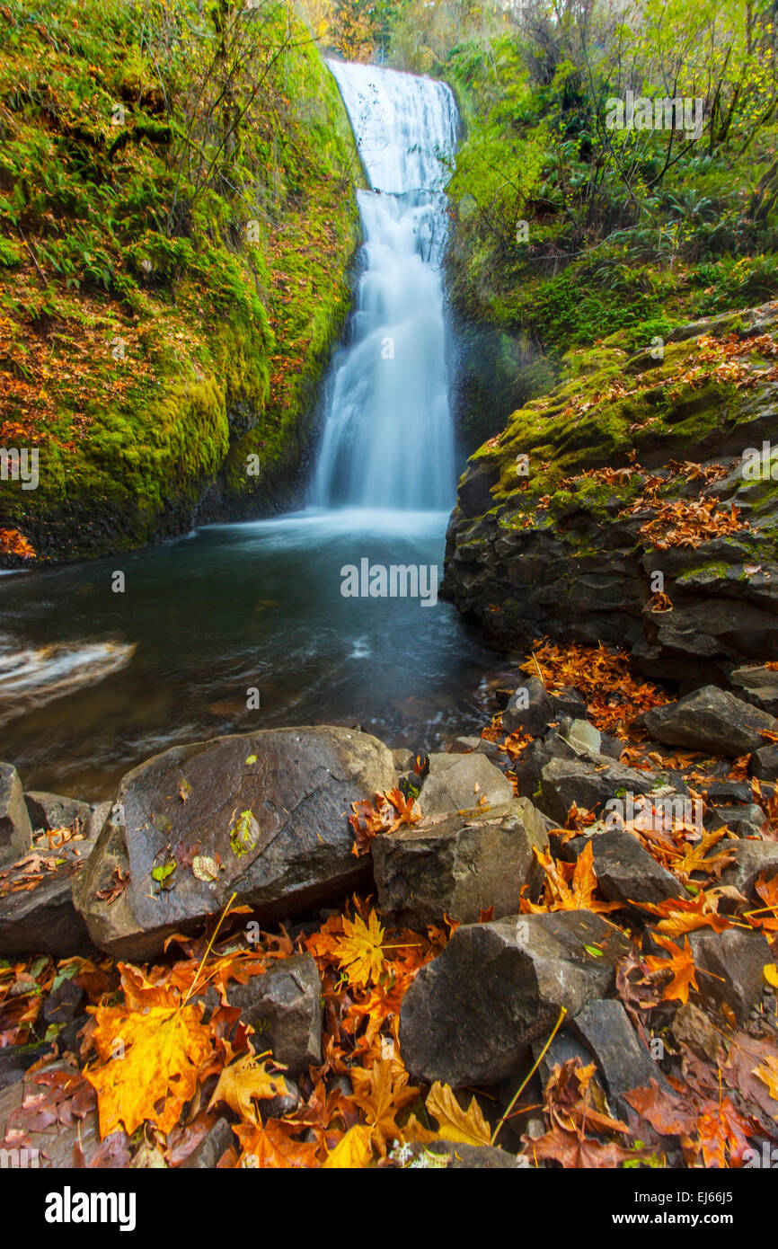 Bridal Veil Creek plonge à 150 pieds plus de Bridal Veil Falls de Bridal Veil State Park dans la gorge du Columbia National Scenic Banque D'Images