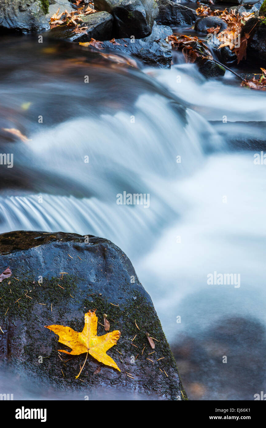 Bridal Veil Creek ci-dessous Bridal Veil Falls in Bridal Veil State Park, Columbia River Gorge National Scenic Area, Oregon, USA. Banque D'Images