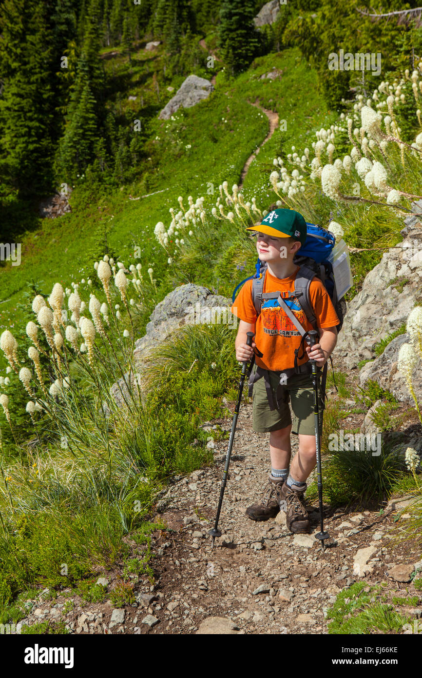 Un jeune backpacker bénéficie d domaines de bear grass le long du sentier du ruisseau Kautz à Mount Rainier National Park, Washington, USA. Banque D'Images