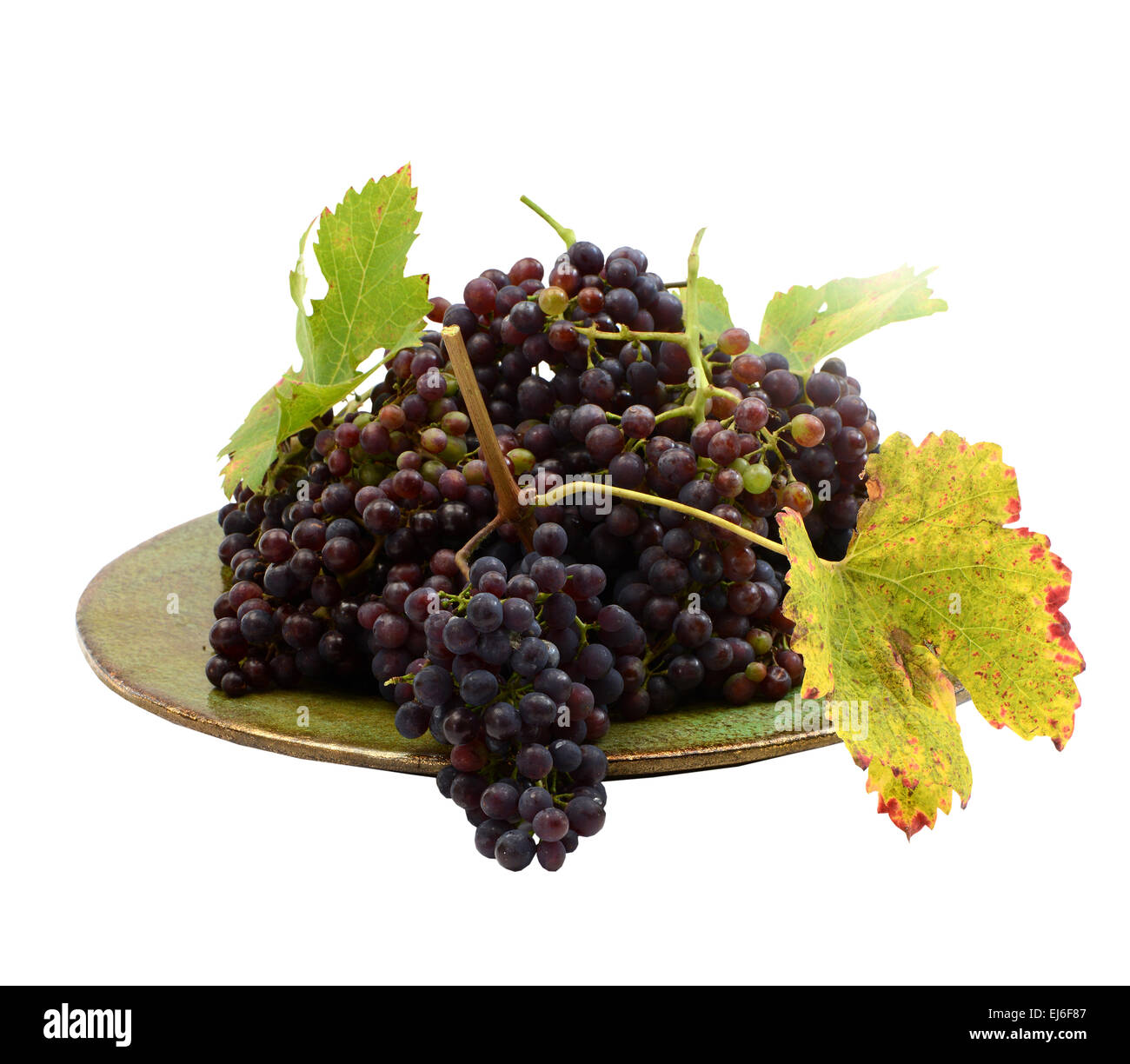 raisin Banque D'Images