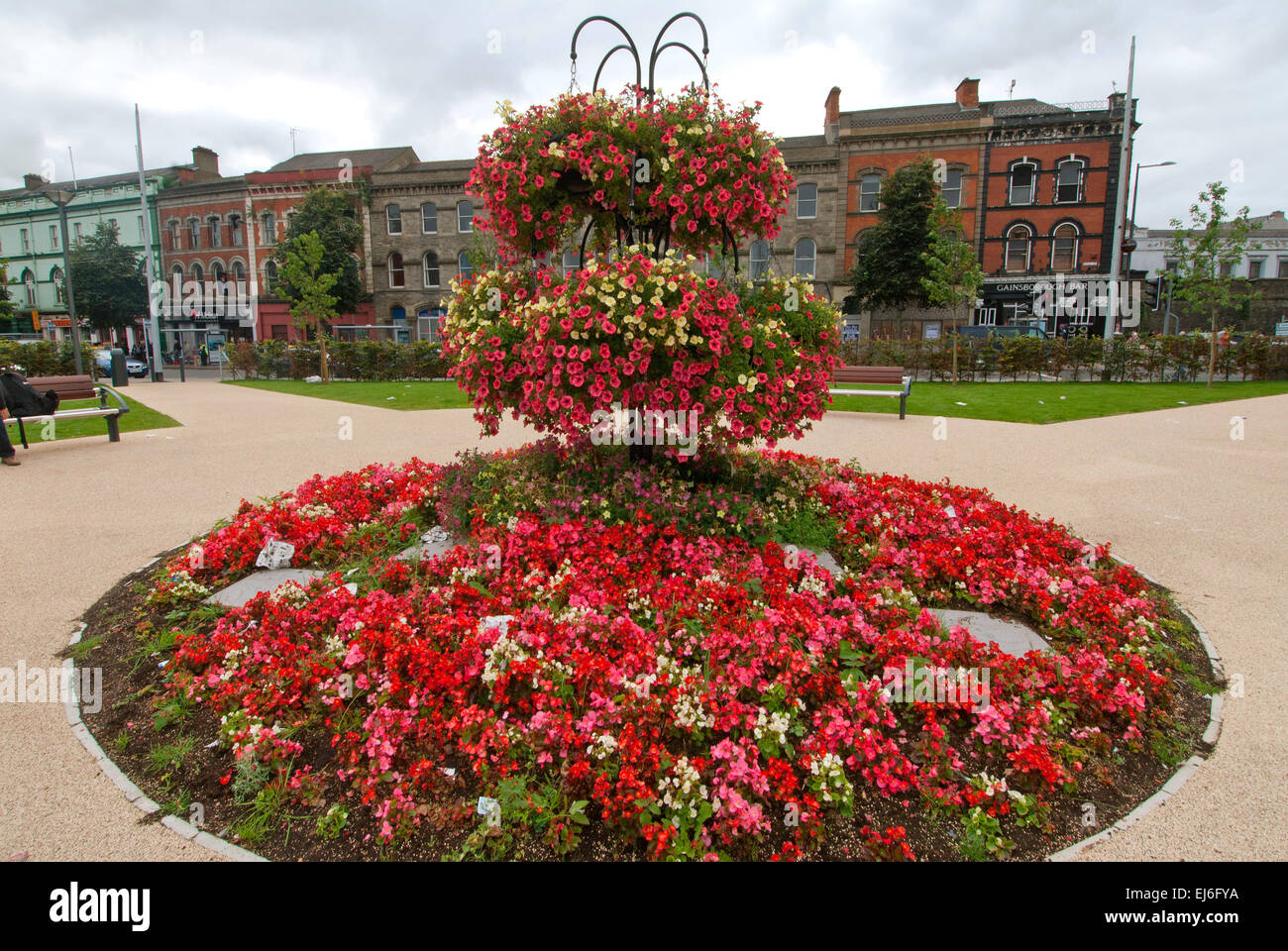 Fleurs en centre-ville, Derry, Irlande du Nord Banque D'Images