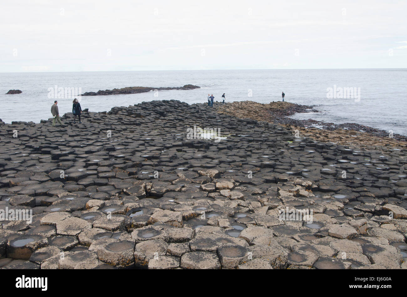 Le Giant's Causeway, un site du patrimoine mondial de l'Irlande du Nord Banque D'Images