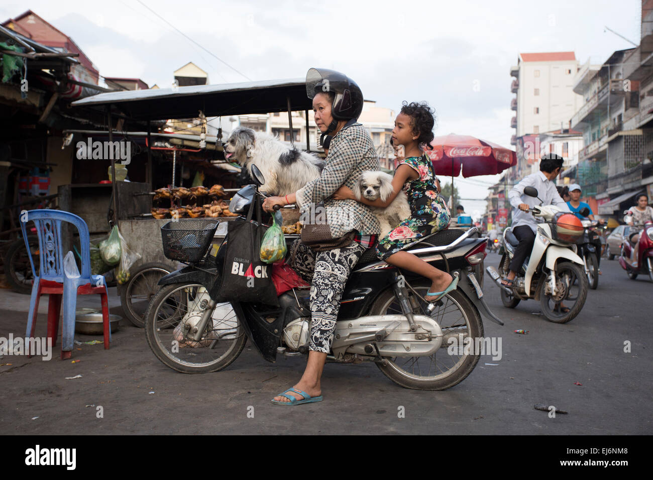 Fille et son chien sur une moto à Phnom Penh au Cambodge Banque D'Images