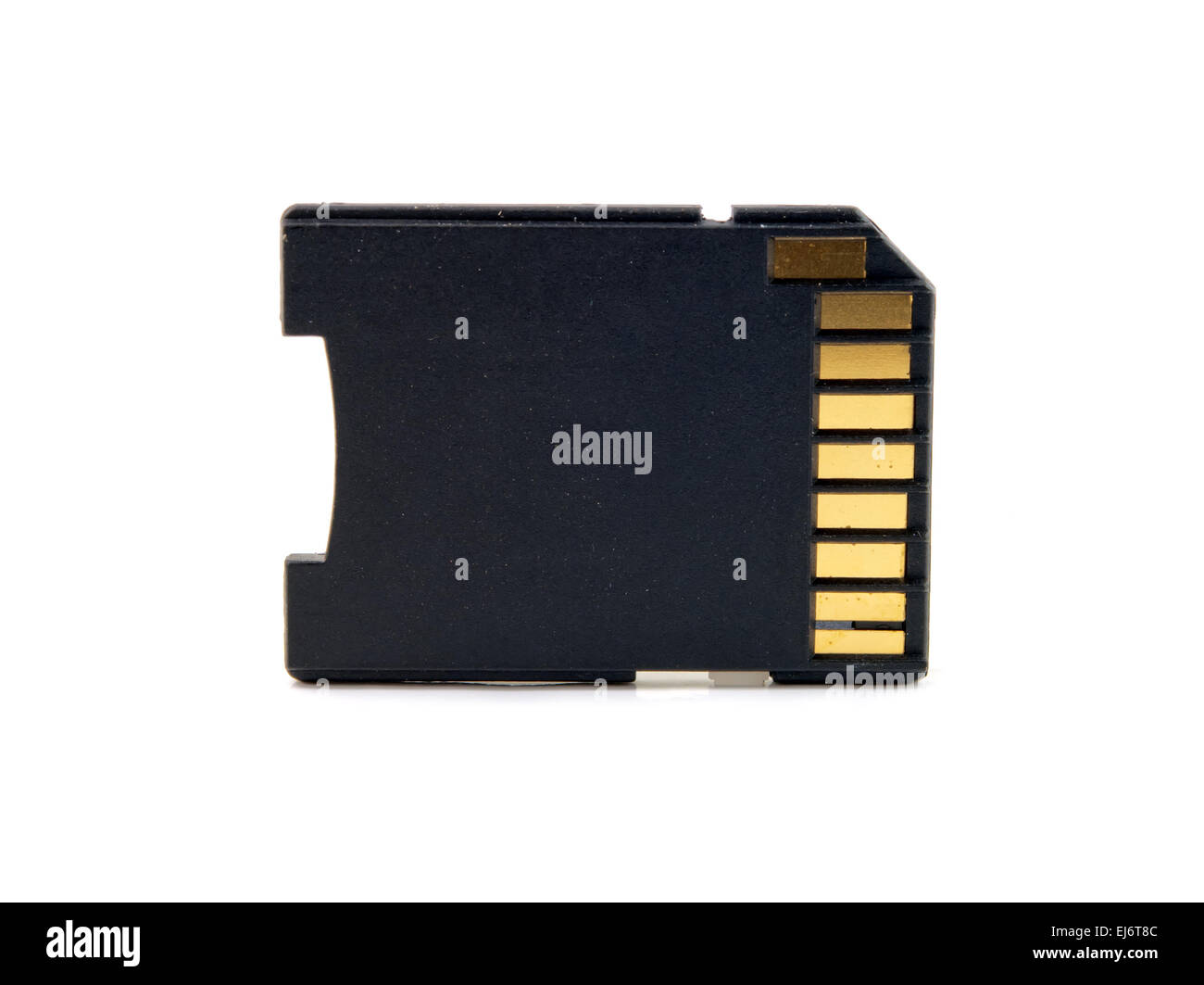 Carte SD, carte mémoire retour, isolé Banque D'Images