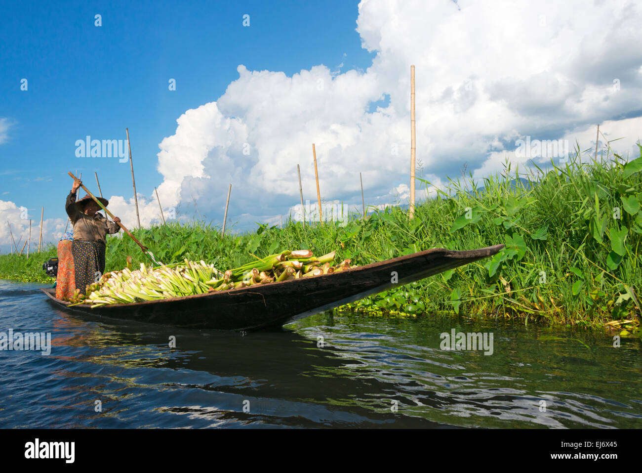 Canoe et ferme flottante sur le lac Inle, l'État de Shan, Myanmar Banque D'Images