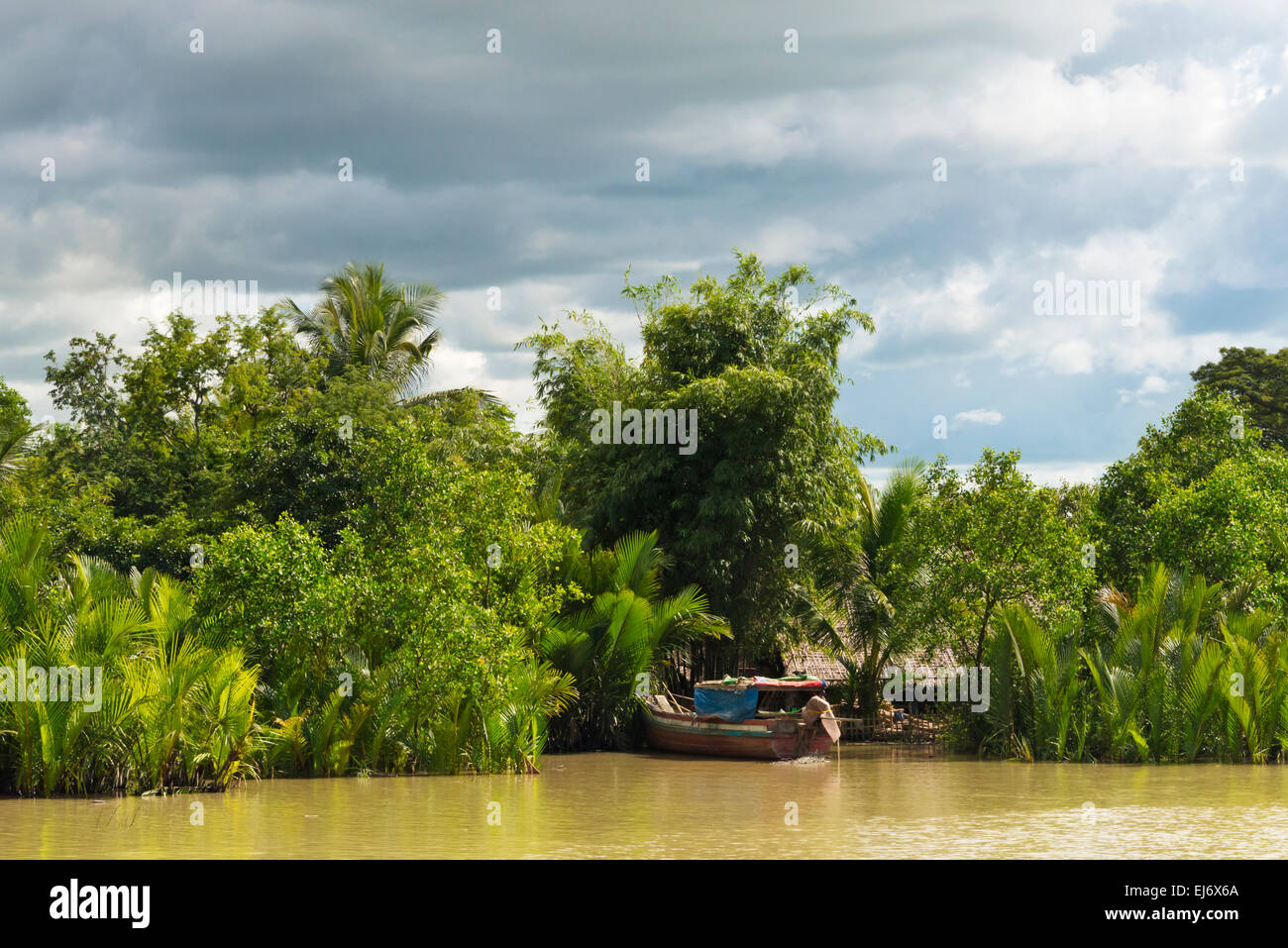Paysage le long de la rivière Kaladan, entre Sittwe et Mrauk-U, l'État de Rakhine, au Myanmar Banque D'Images