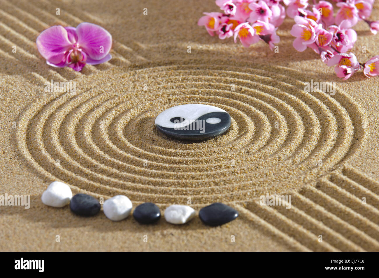 Jardin zen japonais avec yin et yang Banque D'Images