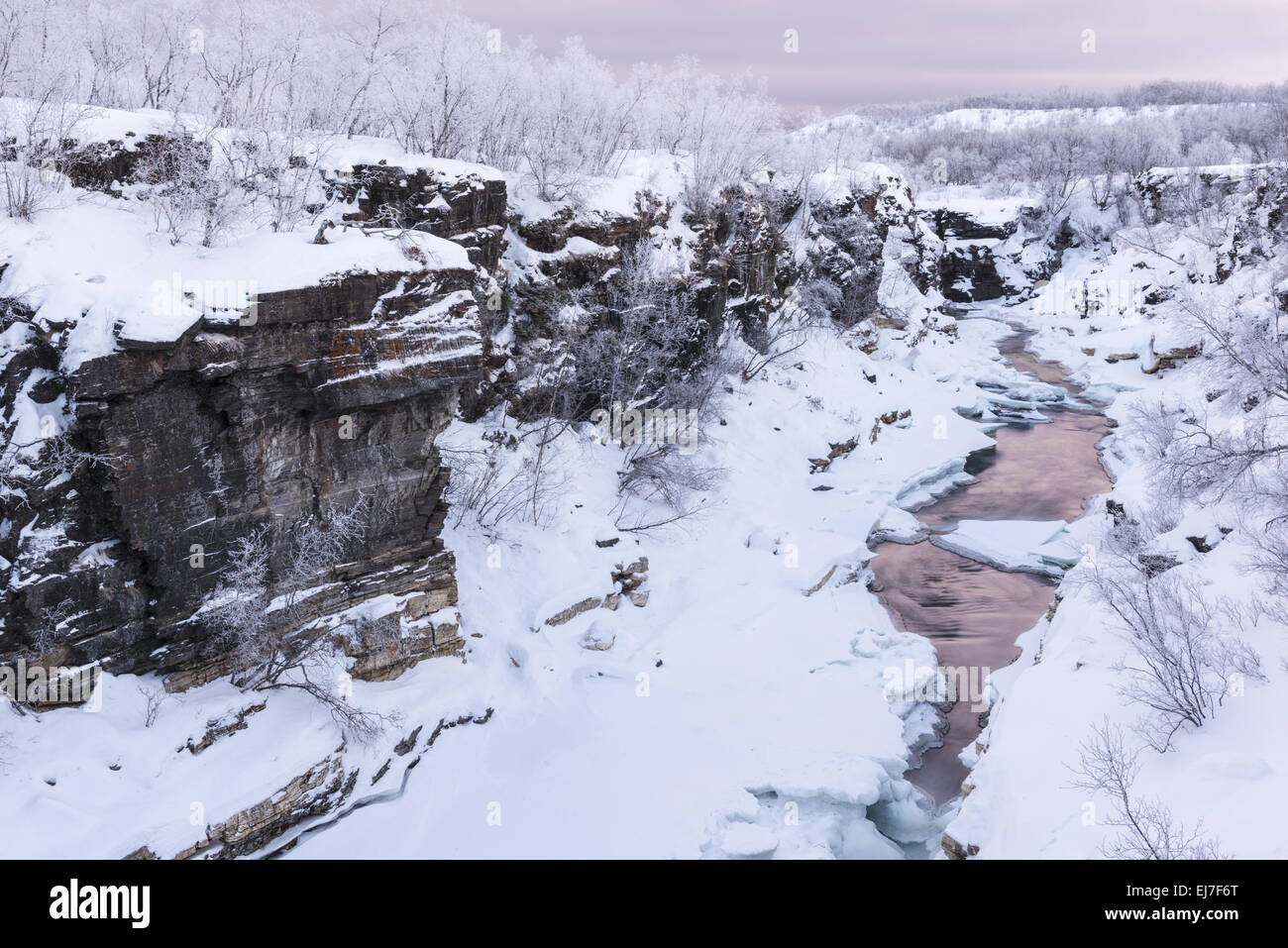 Abisko Abisko Canyon, NP, Laponie, Suède Banque D'Images