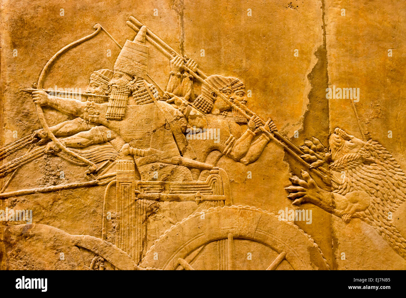 Détail de l'Assyrien de secours sculpté un Lion Royal Hunt. Datant de c645-635 BC. À l'origine dans la salle C de l'Palace, Ninive Banque D'Images