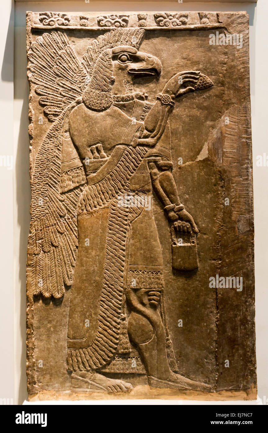 Sculpté assyrienne du redressement d'un esprit protecteur à tête d'Aigle. Date de c865-860 BC. À l'origine dans le Temple de Ninurta, Nimrud. Banque D'Images