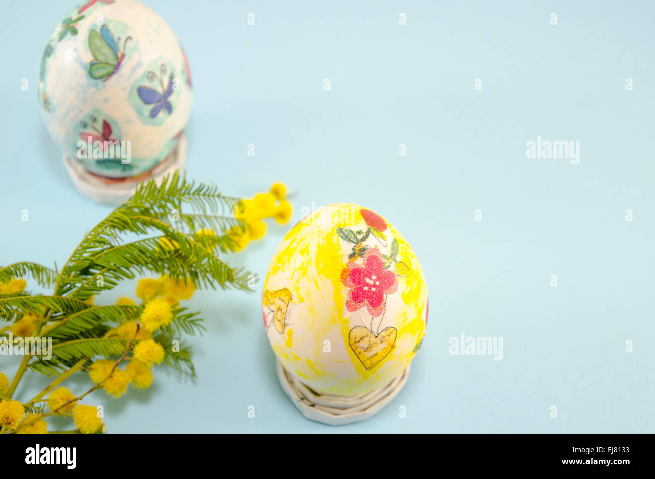 Découpage des œufs de Pâques peints à la main et mimosa sur bleu backrground Banque D'Images