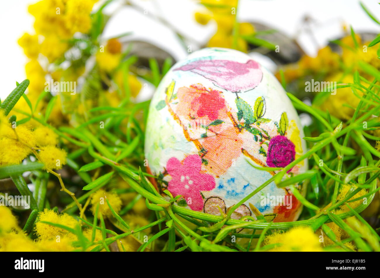 Oeufs de Pâques peints à la main et mimosa Banque D'Images