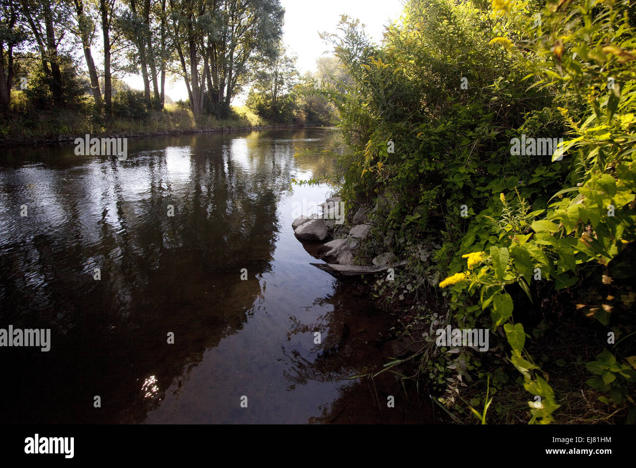 La rivière Lippe, Huenxe, Allemagne Banque D'Images