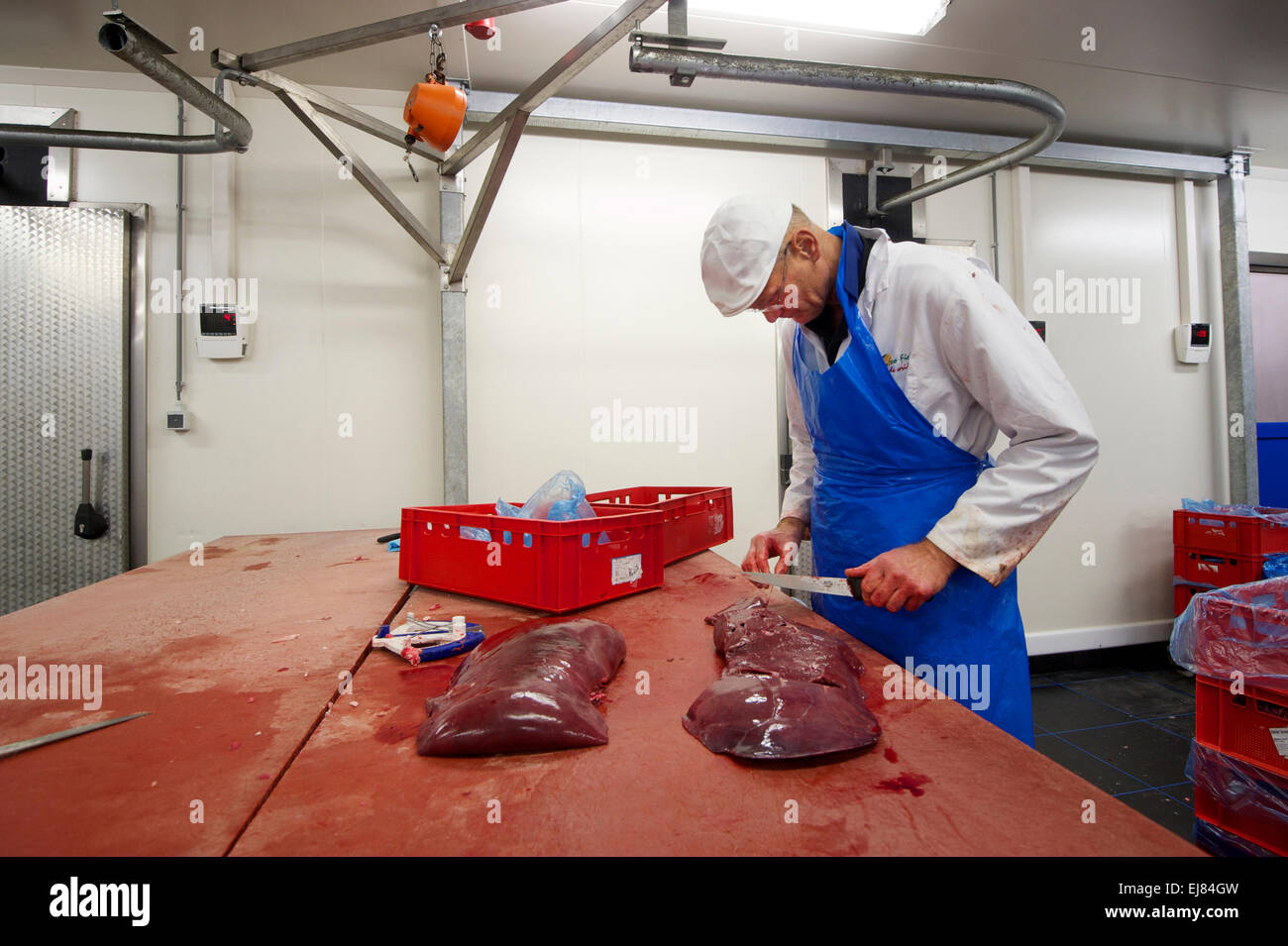 Les Pays-Bas. Barneveld. 24-09-2014. Travail Boucher Banque D'Images