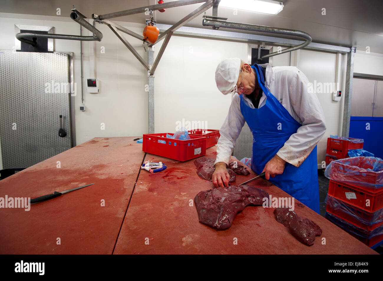 Les Pays-Bas. Barneveld. 24-09-2014. Travail Boucher Banque D'Images