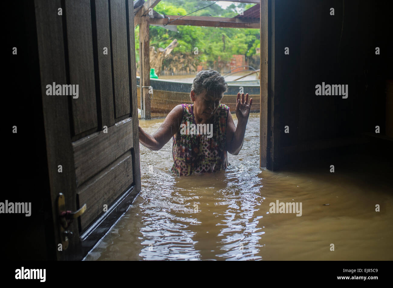 2015 Inondations en Amazonie brésilienne, les personnes déplacées à retourner dans la maison inondée Taquari, district de la ville de Rio Branco, l'état d'Acre. Gilca Goncalvez Cunha, 65 ans, trouve sa maison inondée par le niveau d'eau au-dessus de la taille, après avoir passé quelques jours à relatives' maisons. Les inondations ont touché des milliers de personnes dans l'Etat d'Acre, dans le nord du Brésil, depuis le 23 février 2015, lorsque certaines des rivières de l'état, en particulier l'Acre, la rivière a débordé. Banque D'Images