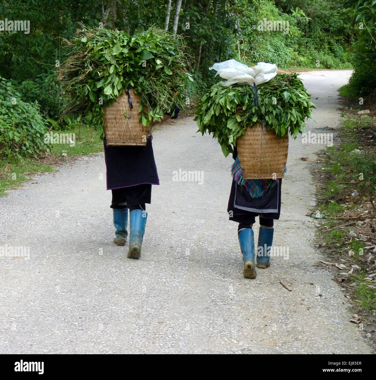 Femmes Hmong Banque D'Images