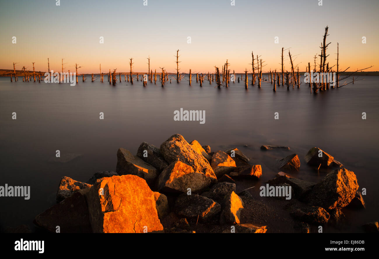 Plus de lumière chaude soirée Colliford Lac sur Bodmin Moor Banque D'Images