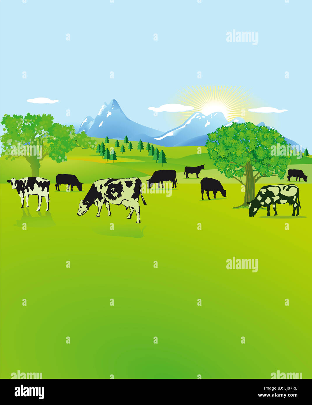 Paysage de montagne avec des vaches blanches, noires Banque D'Images