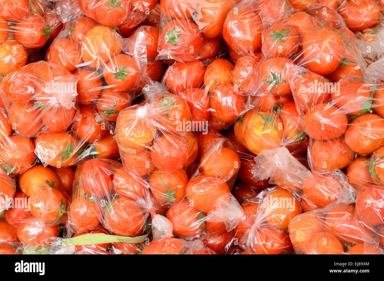 Beaucoup de tomates (Lycopersicon esculentum) au marché thaïlandais Banque D'Images