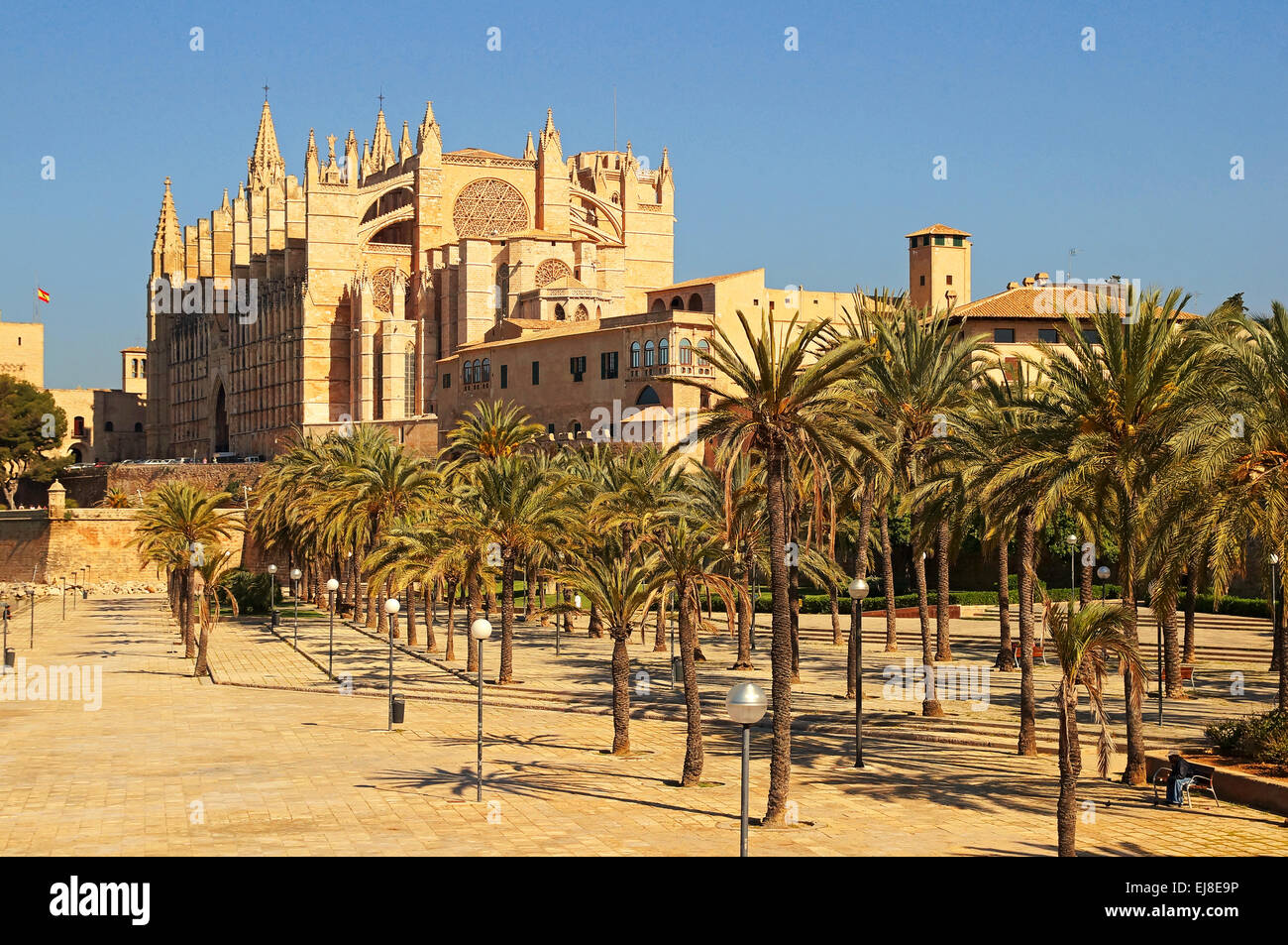 Cathédrale de Palma de Majorque Espagne Banque D'Images