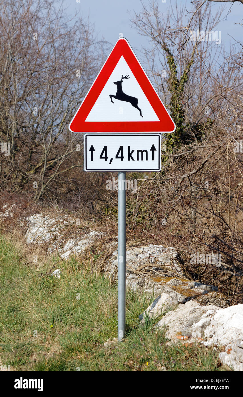 Panneau d'avertissement de trafic - wild animal cross road Banque D'Images