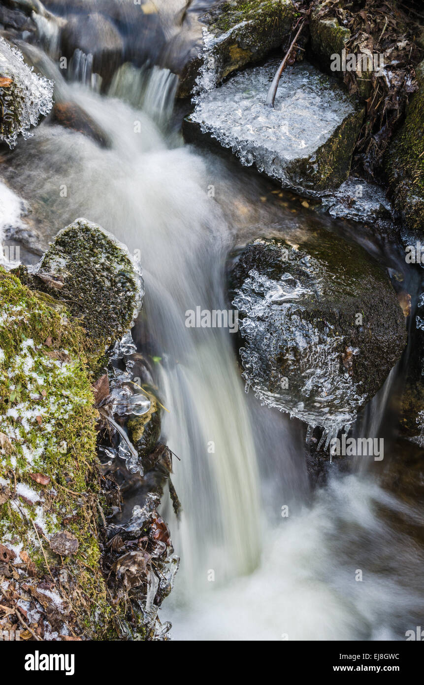 Petit ruisseau avec cascade close up Banque D'Images