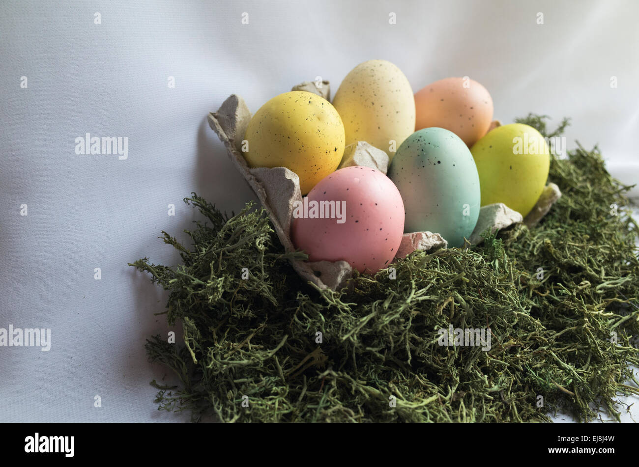 Six œufs de Pâques colorés pastel niché dans boîte à œufs entouré de mousse verte. Banque D'Images