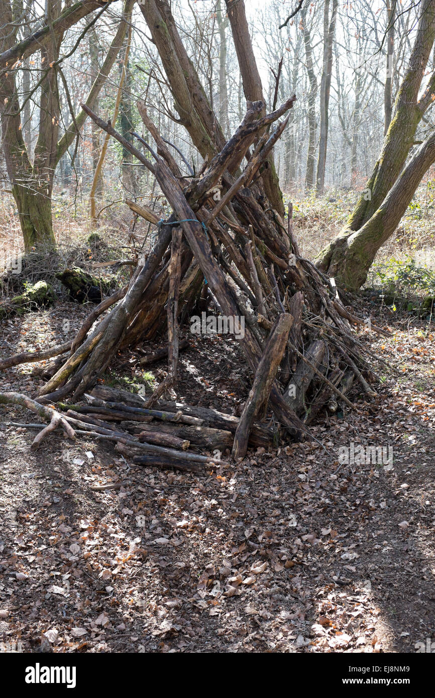Abri de fortune dans la forêt de Savernake Wiltshire Photo Stock Alamy