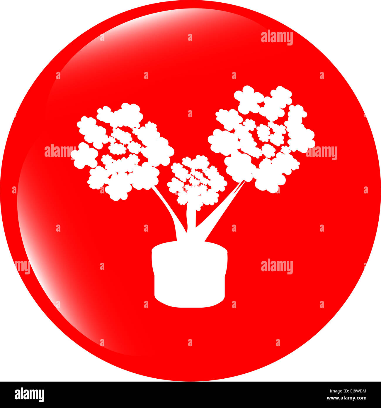 Icône Bouton fleurs web app Banque D'Images