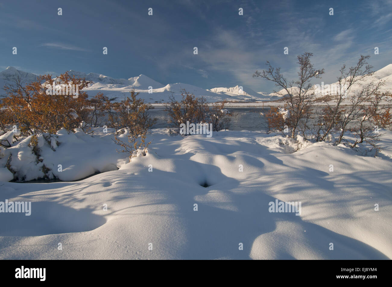 Paysage d'automne dans la neige, Rondane NP, Norvège Banque D'Images
