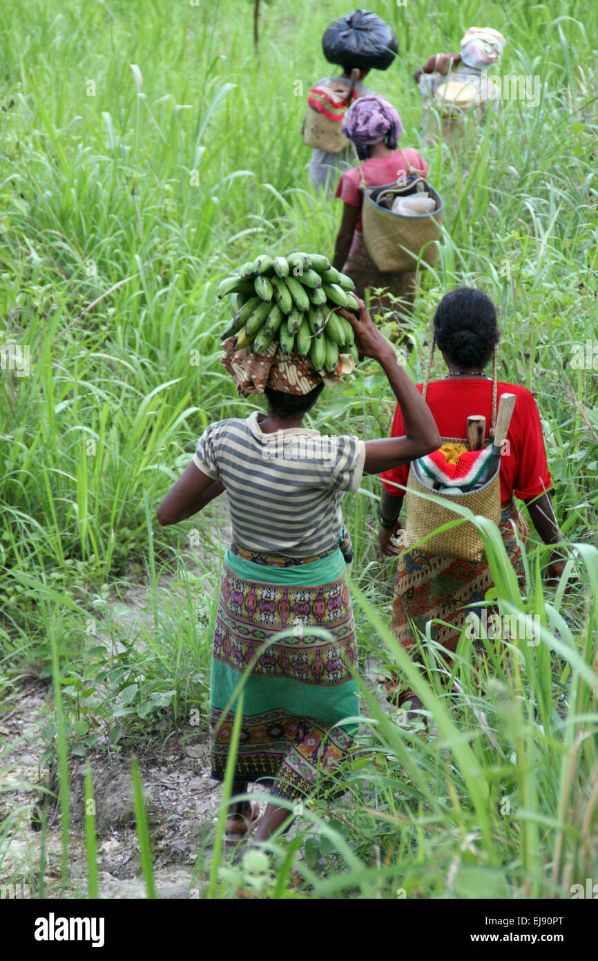 Femmes locales se dirigeant vers Vila, capitale de l'île d'Atauro, Timor-Leste, Asie Banque D'Images