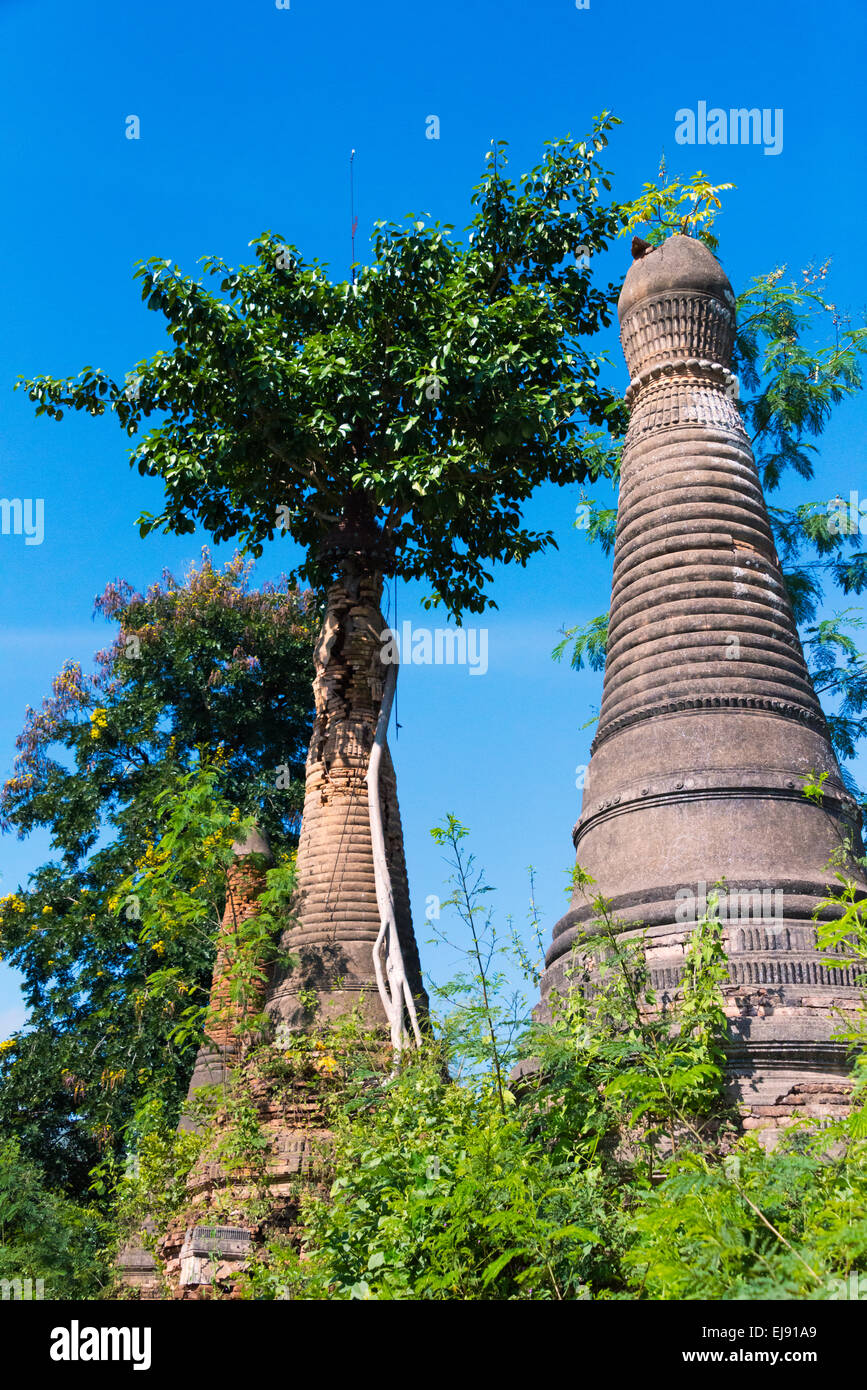 Indein complexe Stupa, au Lac Inle, Myanmar Banque D'Images