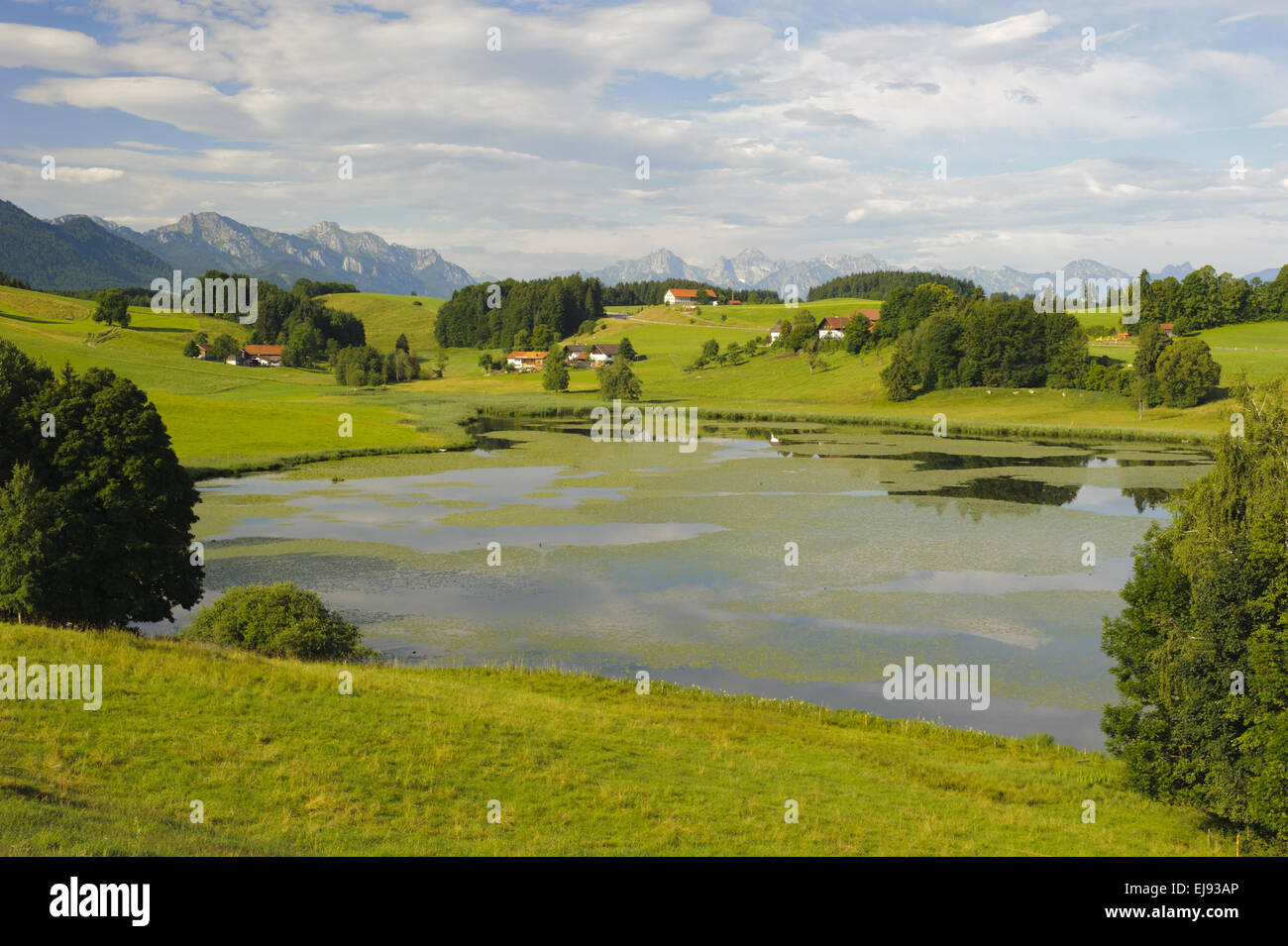 Lac et montagnes des Alpes en Bavière Banque D'Images