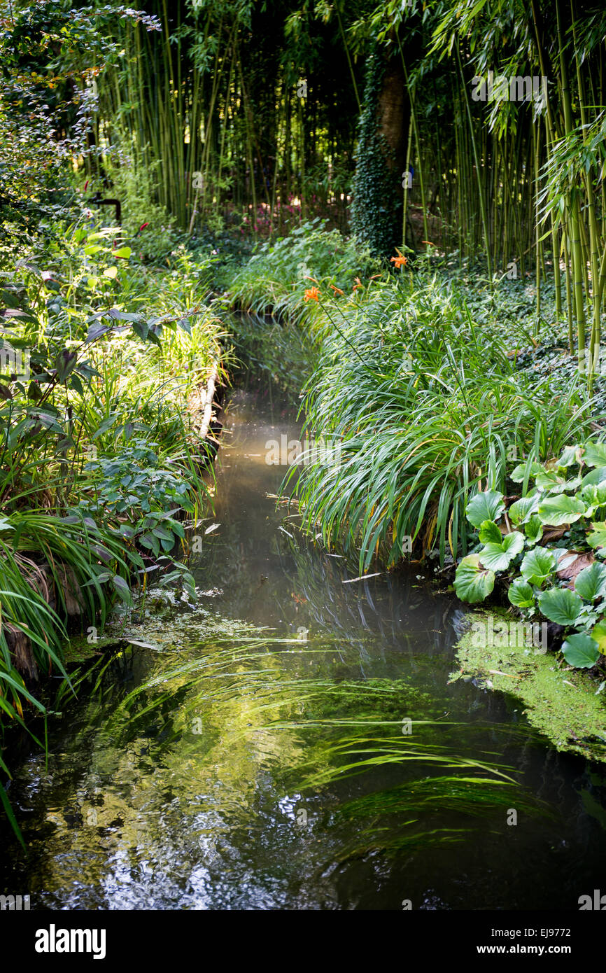 France, Europe, Giverny, Claude Monet, les jardins de la Fondation de la maison de Monet Banque D'Images