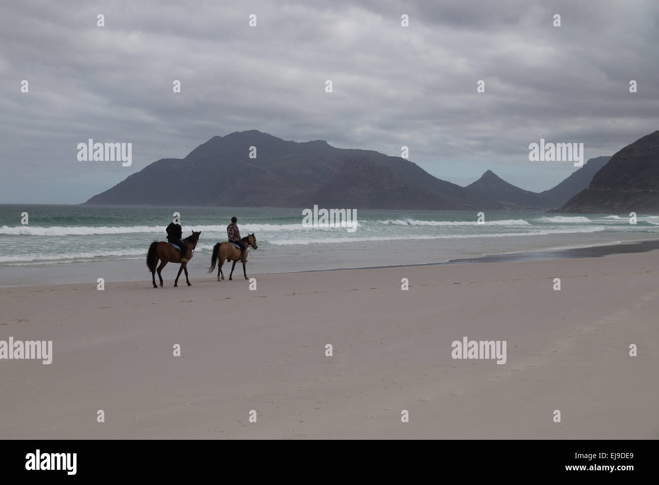 L'équitation sous un ciel noir, le long de la plage à Nordhoek, Cape Town. Banque D'Images