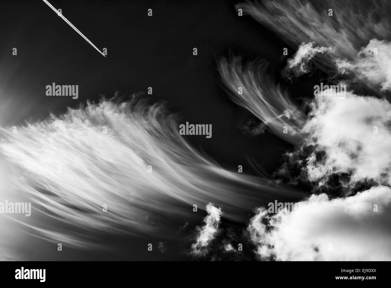 Plan et nuages dans le ciel, Gotland, Suède Banque D'Images