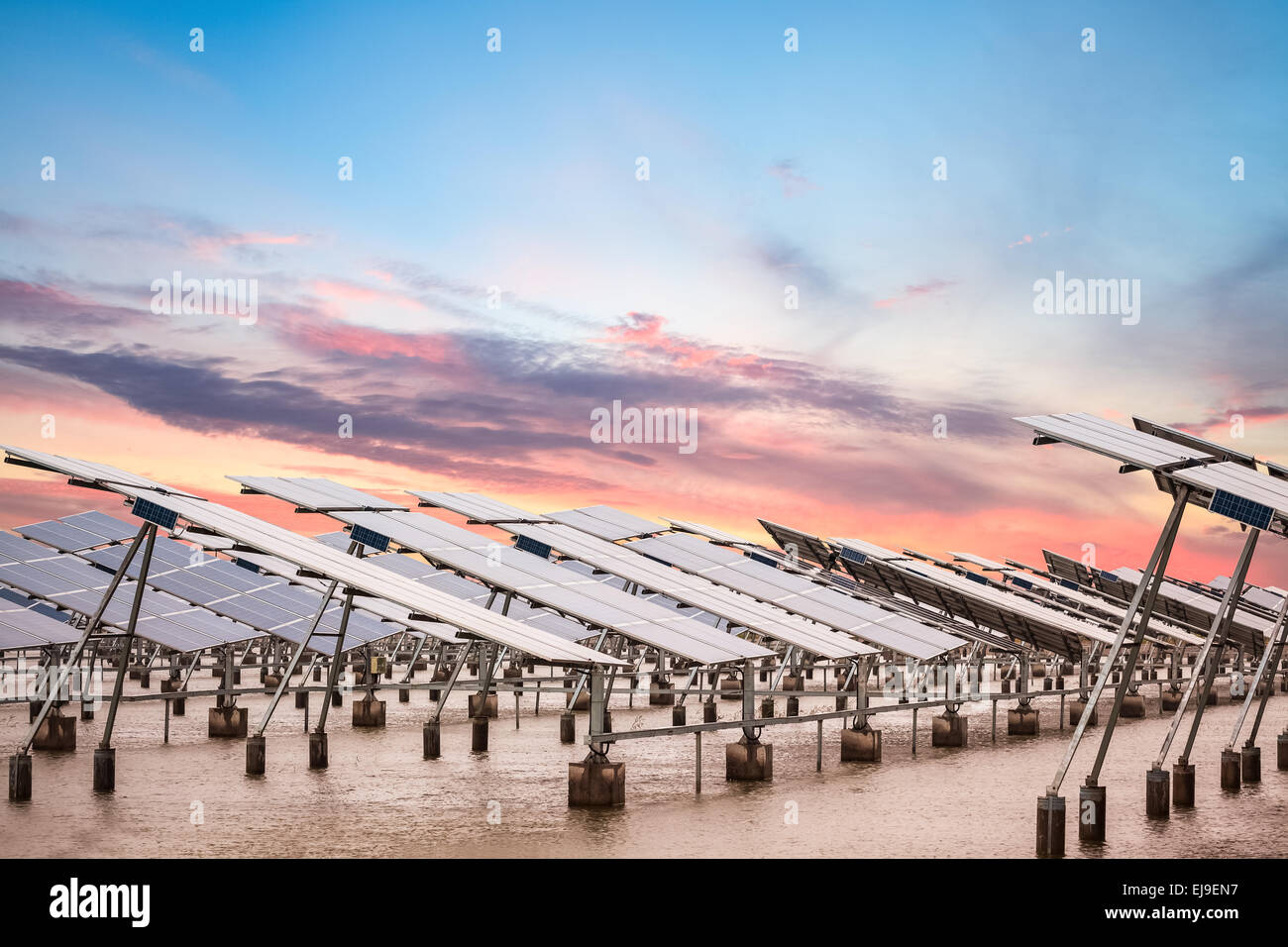 Ferme d'énergie solaire au crépuscule Banque D'Images