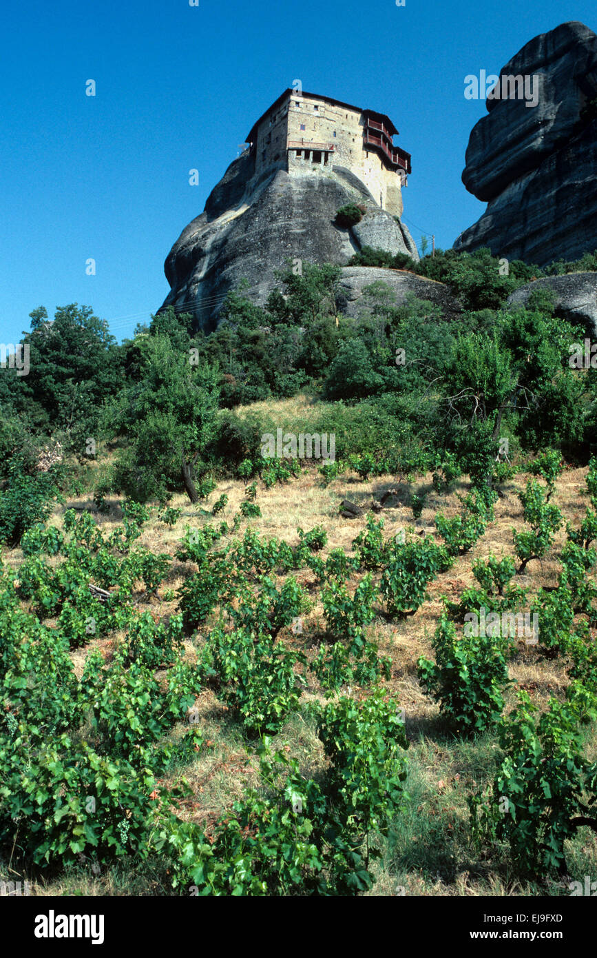 Monastère de Saint Nicolas Anapausas et météores Grèce Vignoble Banque D'Images