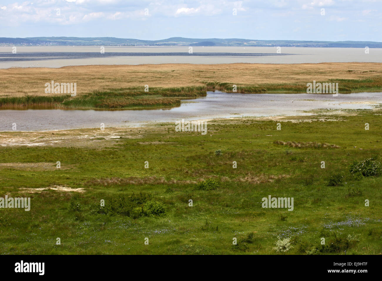 Parc national du lac de Neusiedl, Autriche Banque D'Images