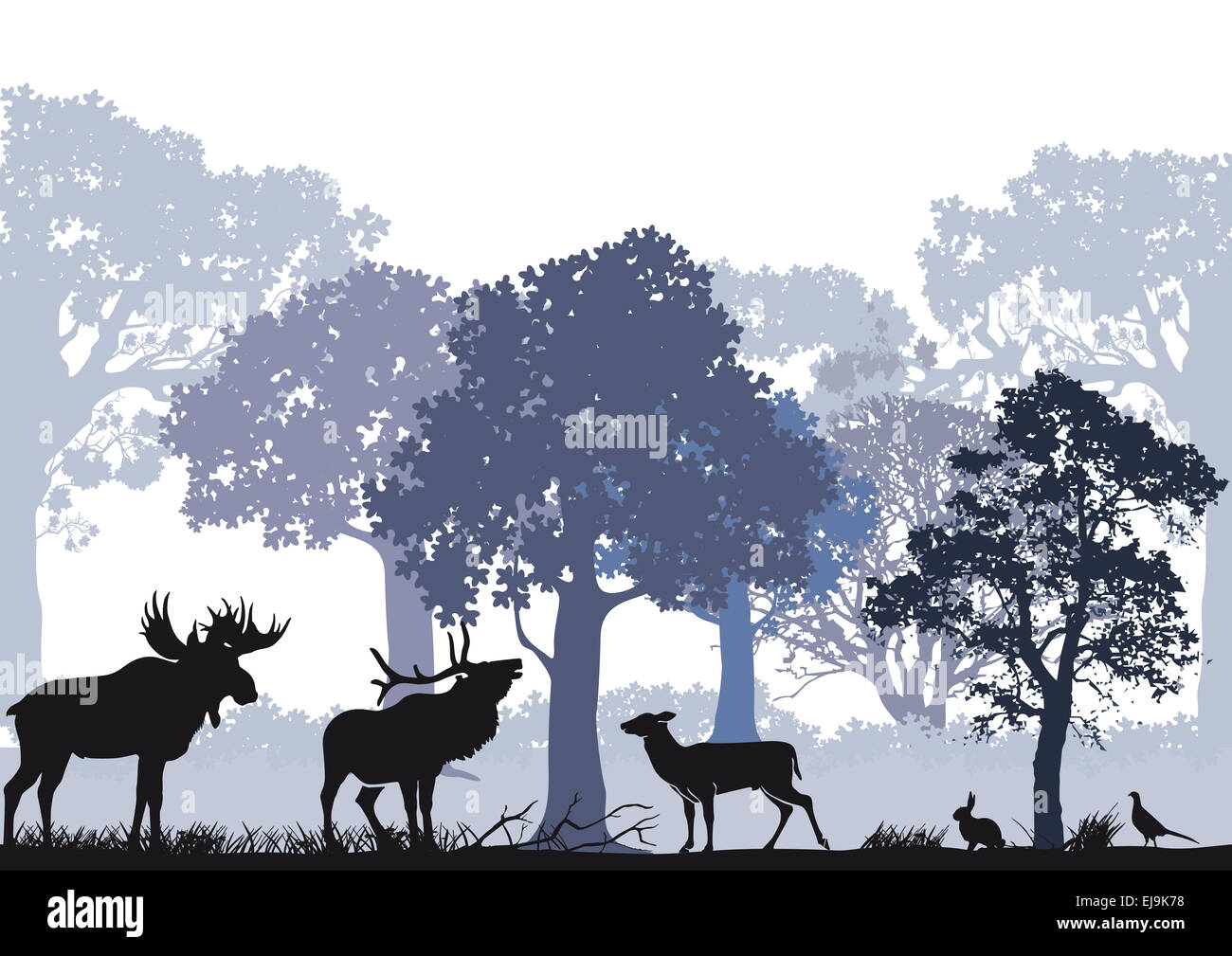 Avec Deer orignal dans la forêt Banque D'Images