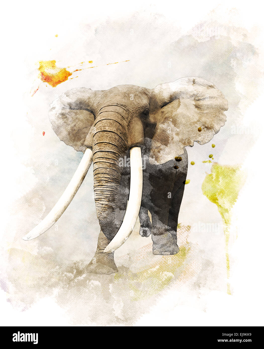 L'image d'Elephant aquarelle Banque D'Images