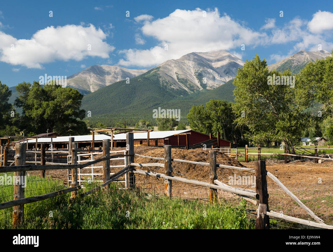 De ferme et stable en Mt CO Princeton Banque D'Images